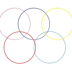 Aro Gimnasia Rítmica Carola Gala 90cm Senior