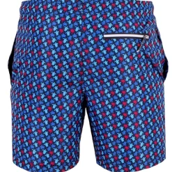 Bañador Sphere Pro Tiles Turtles