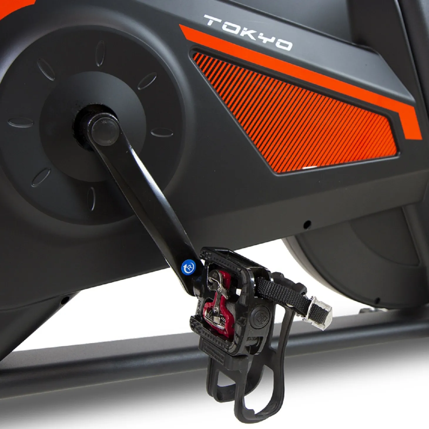 Bicicleta Ciclo Indoor BH Tokyo