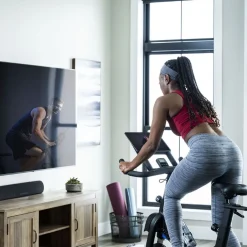 Bicicleta Ciclo Indoor 5.0IC Horizon Fitness