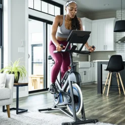 Bicicleta Ciclo Indoor 5.0IC Horizon Fitness