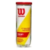 Bote 3 Pelotas Tenis Wilson Championship Extra Duty