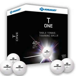 Caja 120 Pelotas Ping Pong Schildkröt T-One