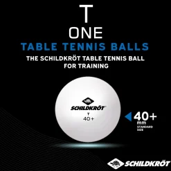 Caja 120 Pelotas Ping Pong Schildkröt T-One