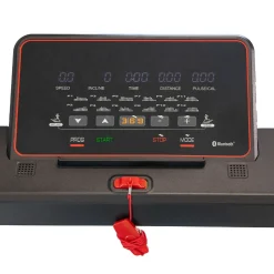 Cinta Andar/Correr BH Sherpa Run