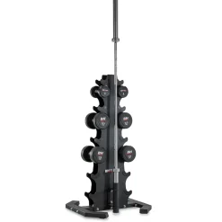 Dumbell Rack BH G505