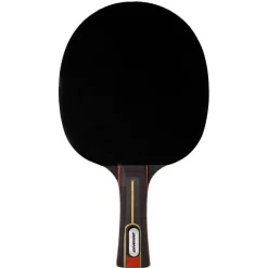 Pala Ping Pong Enebe Select Team 600