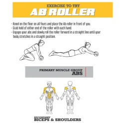 Rueda Abdominales Zastor AB6